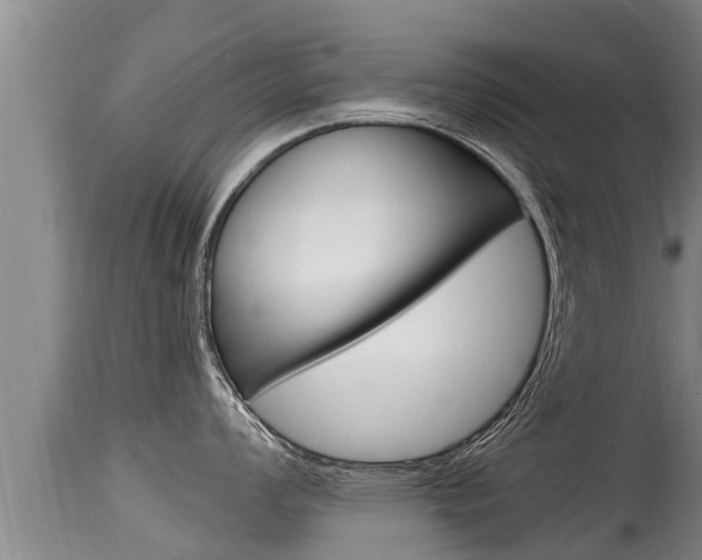 X0000115661008200911120938