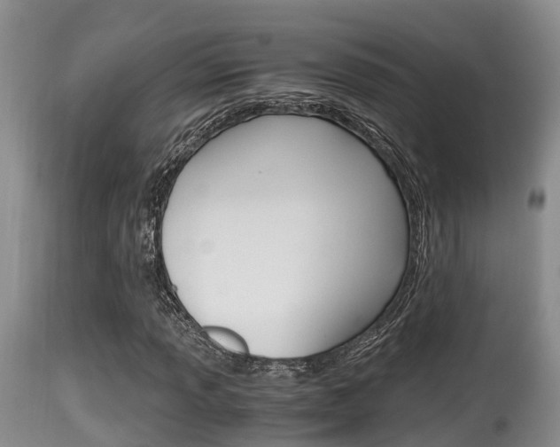 X0000115661013200911120938