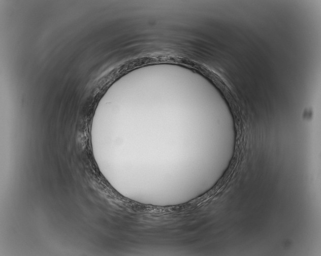 X0000115661015200911120938