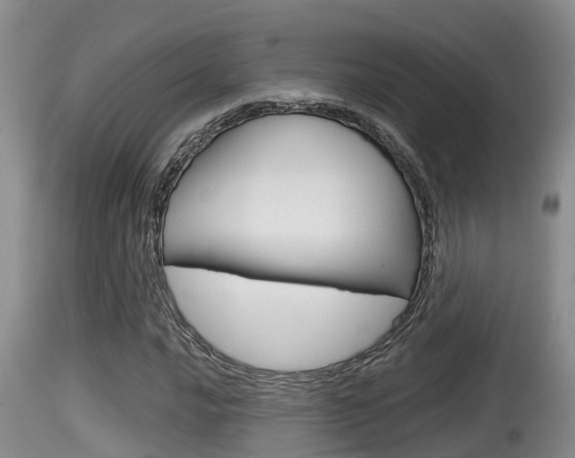 X0000115661016200911120938