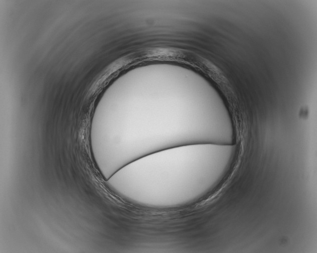 X0000115661017200911120938
