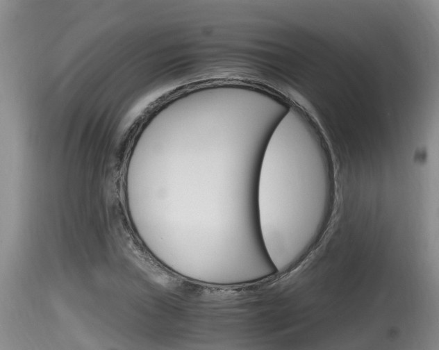 X0000115661019200911120938