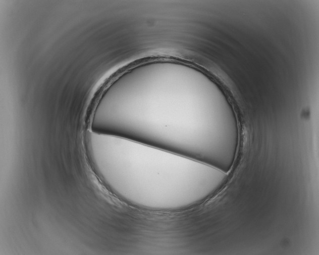 X0000115661020200911120938