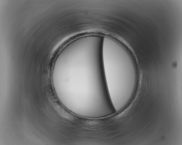 X0000115661021200911120938