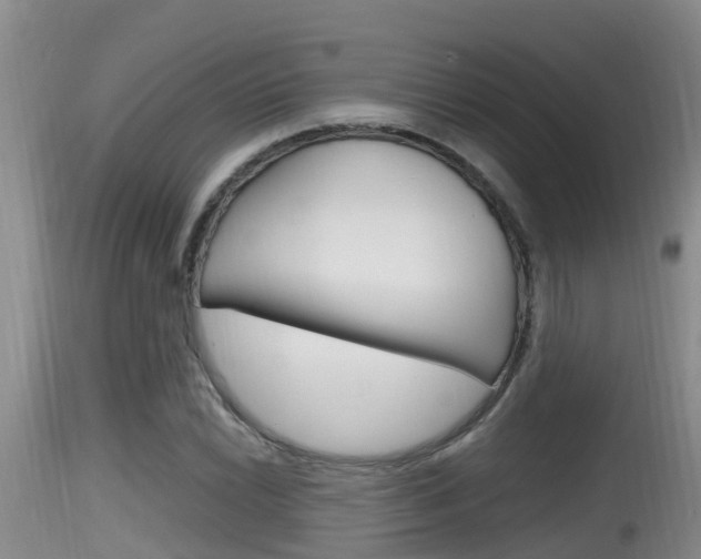 X0000115661022200911120938