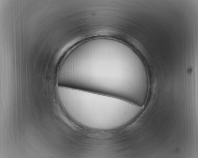 X0000115661026200911120938