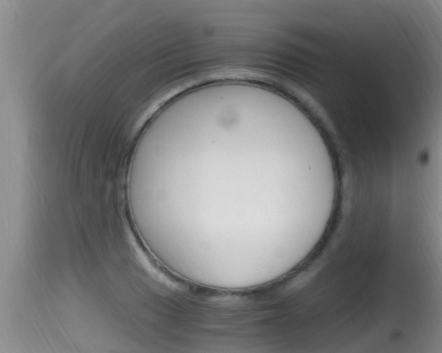 X0000115661033200911120938