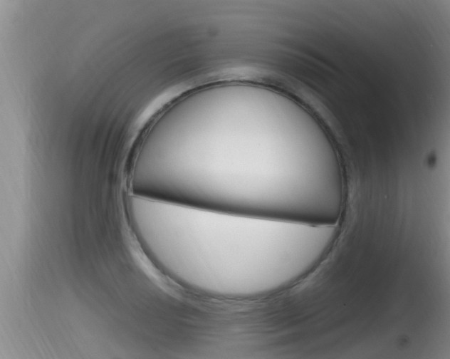 X0000115661034200911120938