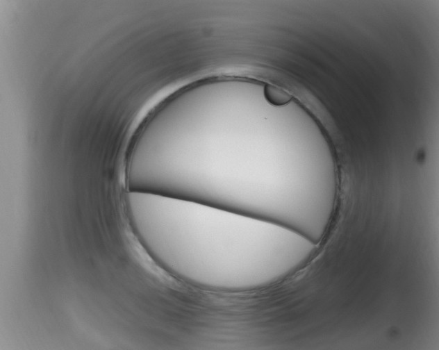X0000115661036200911120938