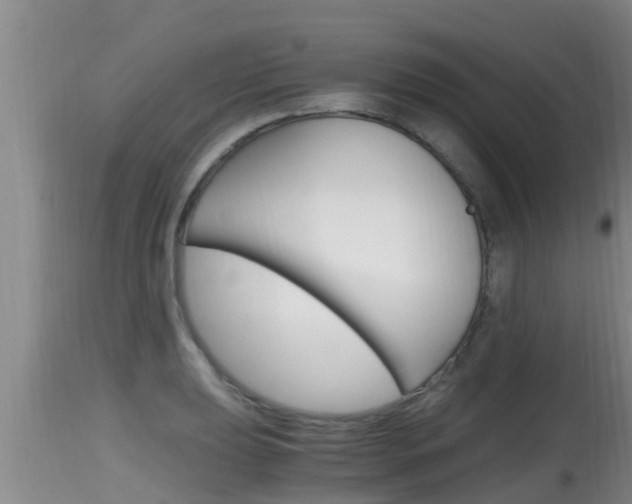 X0000115661039200911120938