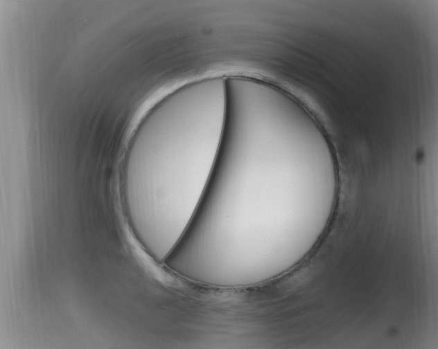 X0000115661040200911120938