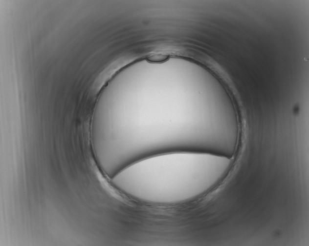 X0000115661041200911120938