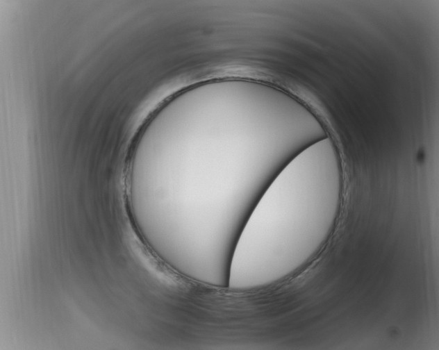 X0000115661043200911120938