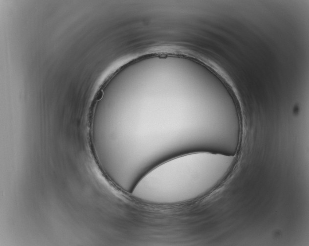 X0000115661045200911120938