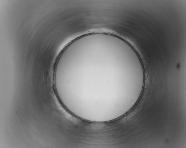 X0000115661046200911120938