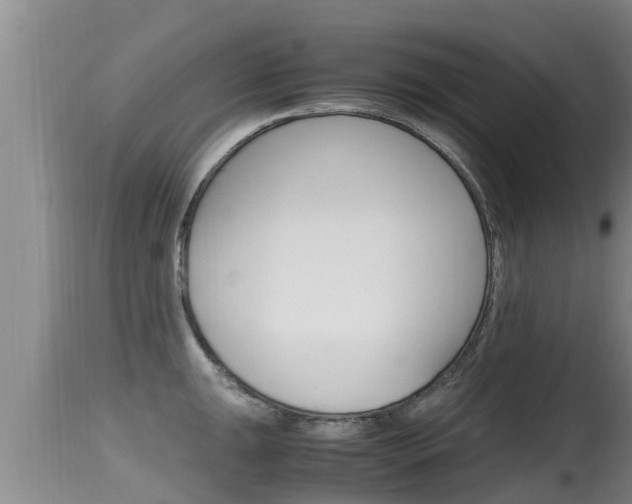 X0000115661047200911120938