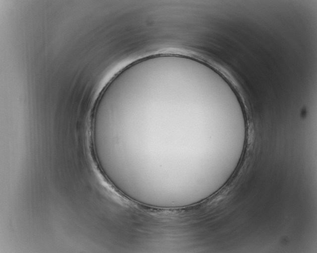 X0000115661048200911120938