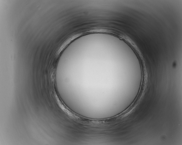 X0000115661049200911120938