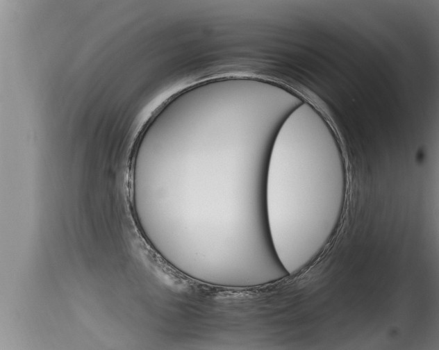 X0000115661051200911120938