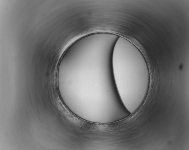 X0000115661052200911120938