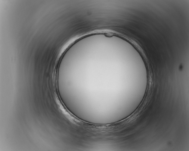 X0000115661054200911120938