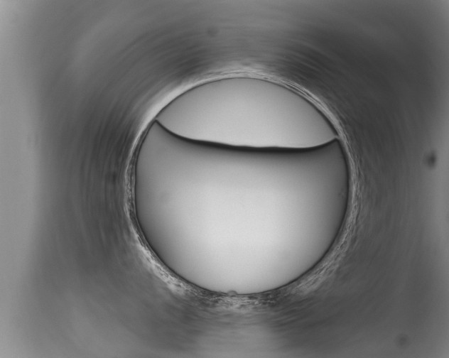X0000115661056200911120938