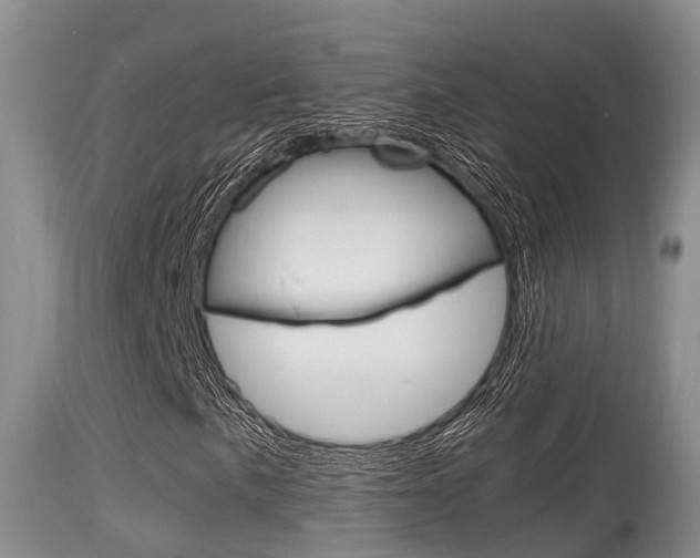 X0000115661057200911120938