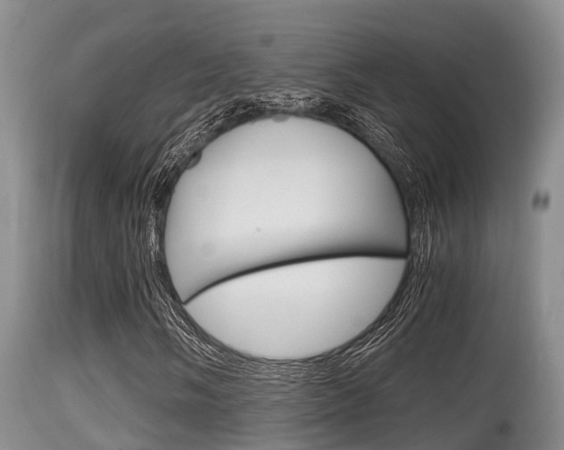 X0000115661058200911120938