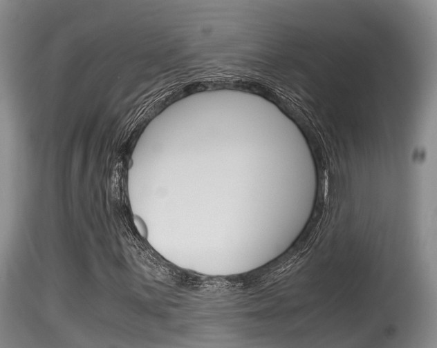 X0000115661059200911120938