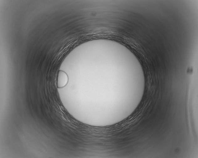 X0000115661060200911120938