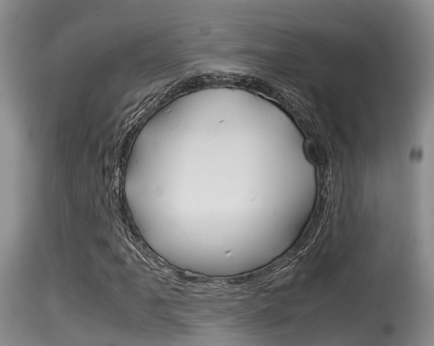 X0000115661061200911120938