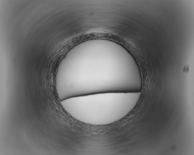 X0000115661062200911120938