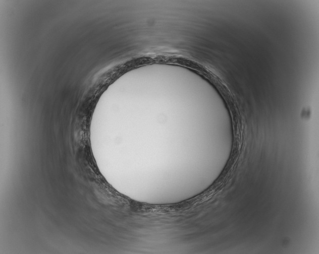 X0000115661063200911120938
