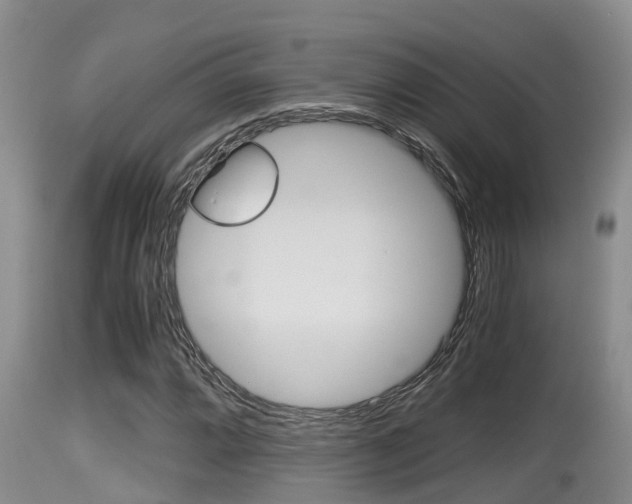 X0000115661064200911120938