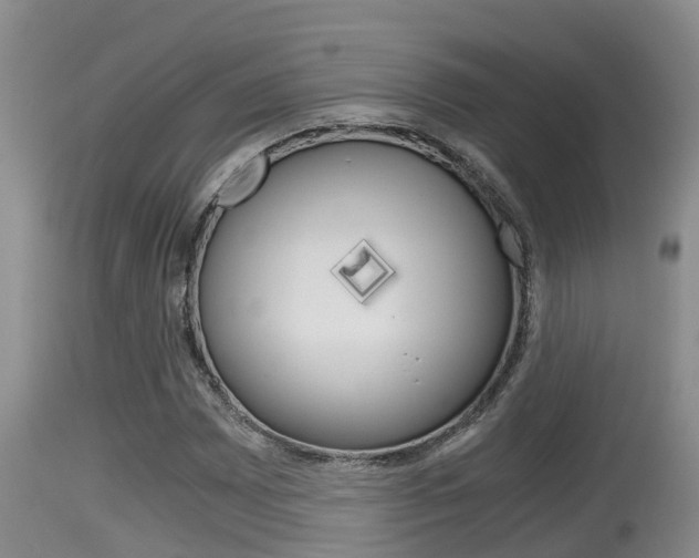 X0000115661065200911120938