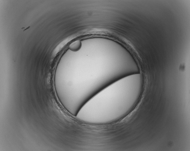 X0000115661066200911120938