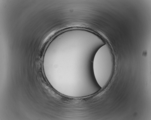 X0000115661067200911120938