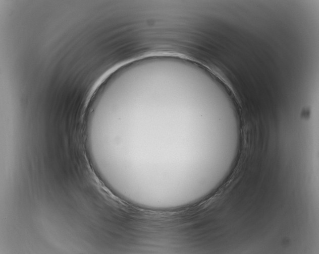 X0000115661068200911120938