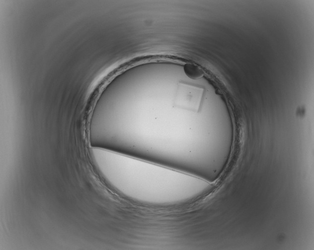 X0000115661069200911120938