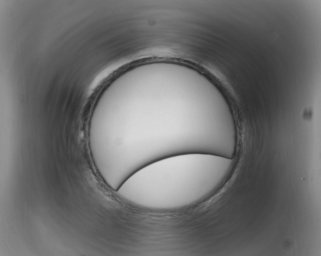 X0000115661070200911120938