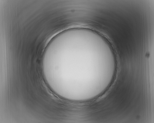 X0000115661073200911120937