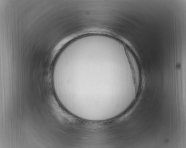 X0000115661074200911120937