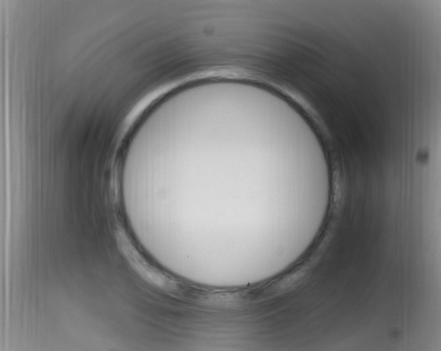 X0000115661078200911120937