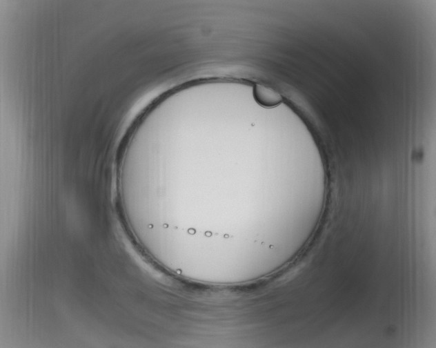 X0000115661079200911120937