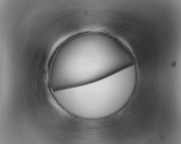 X0000115661080200911120937