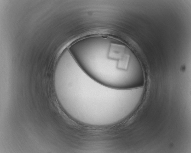 X0000115661081200911120937