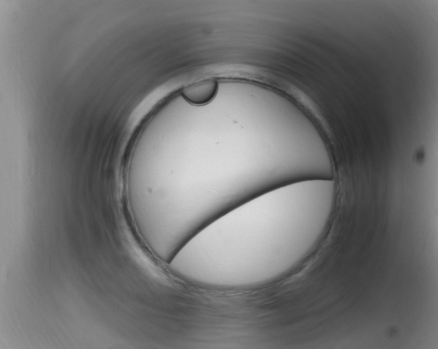 X0000115661082200911120937