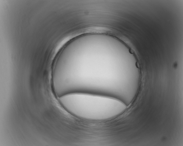 X0000115661083200911120937