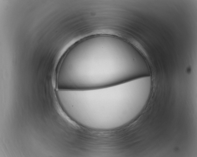 X0000115661084200911120937