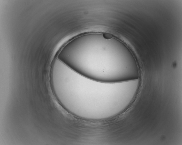 X0000115661085200911120937
